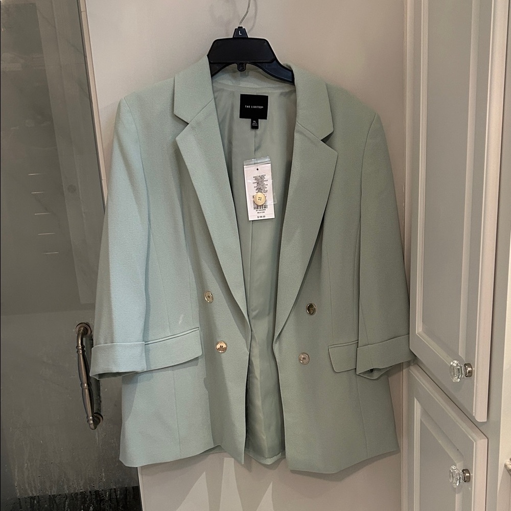 The Limited Light Green Double-Breasted Blazer XL